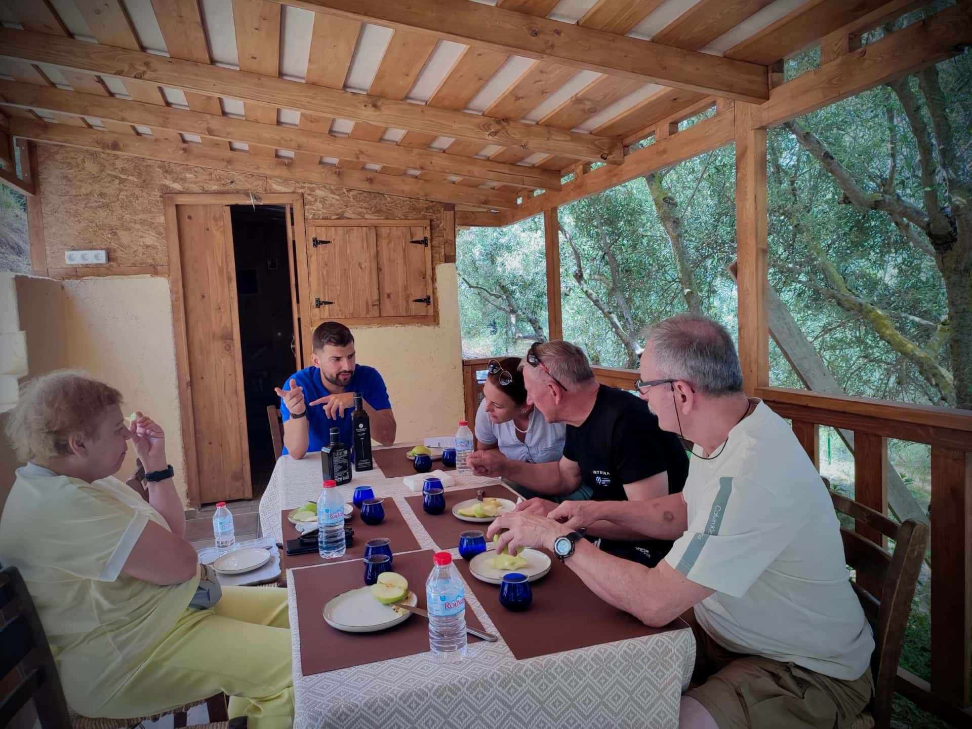 Authentic Olive Oil Tasting Experience