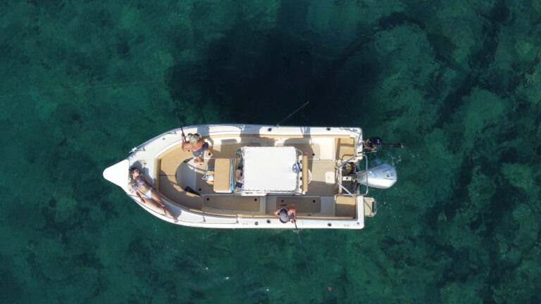 DJI_0187.MP4.00_03_18_59.Still003